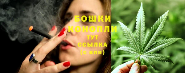 гидра Бронницы