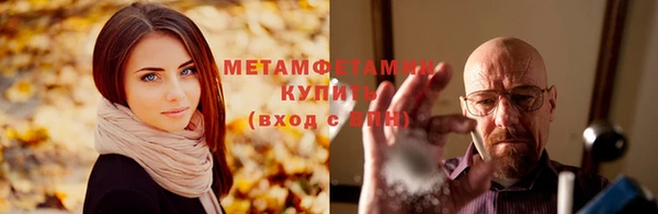 гидра Бронницы